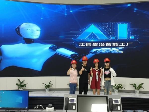 外國(guó)語(yǔ)學(xué)院開(kāi)展企業(yè)數(shù)字化轉(zhuǎn)型調(diào)研暨訪企拓崗活動(dòng)——聚焦計(jì)算機(jī)系統(tǒng)服務(wù)領(lǐng)域